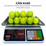 Cân điện tử KAW K450